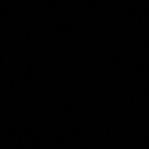 Meet your Posher, Barret